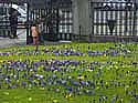 Jardin botanique de Geneve